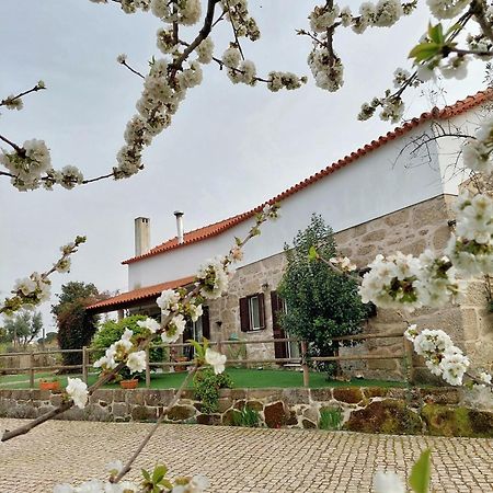 A Casa Do Soito Villa Oliveira do Hospital Exteriör bild