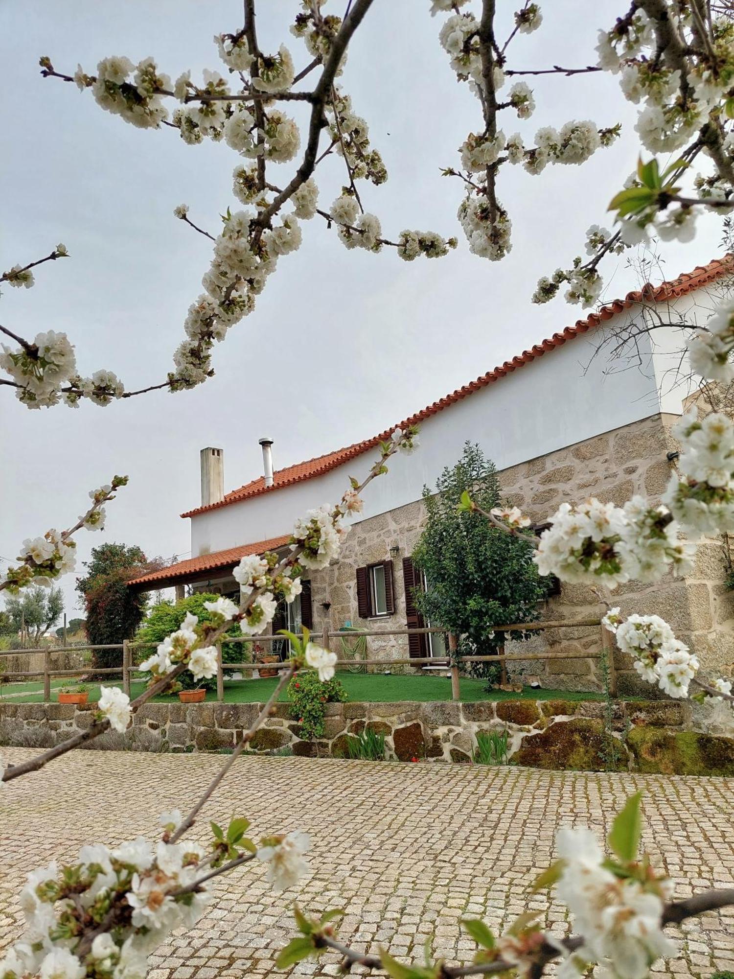 A Casa Do Soito Villa Oliveira do Hospital Exteriör bild